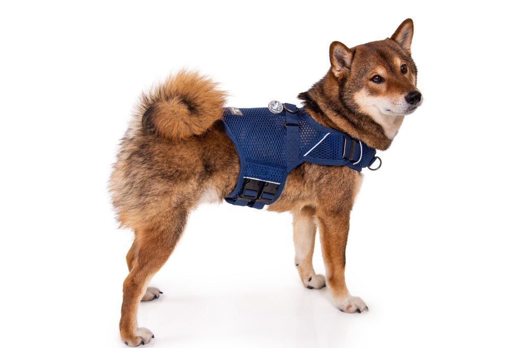 Sleepypod Introduces New Calming Harness for Dogs and Cats Herald